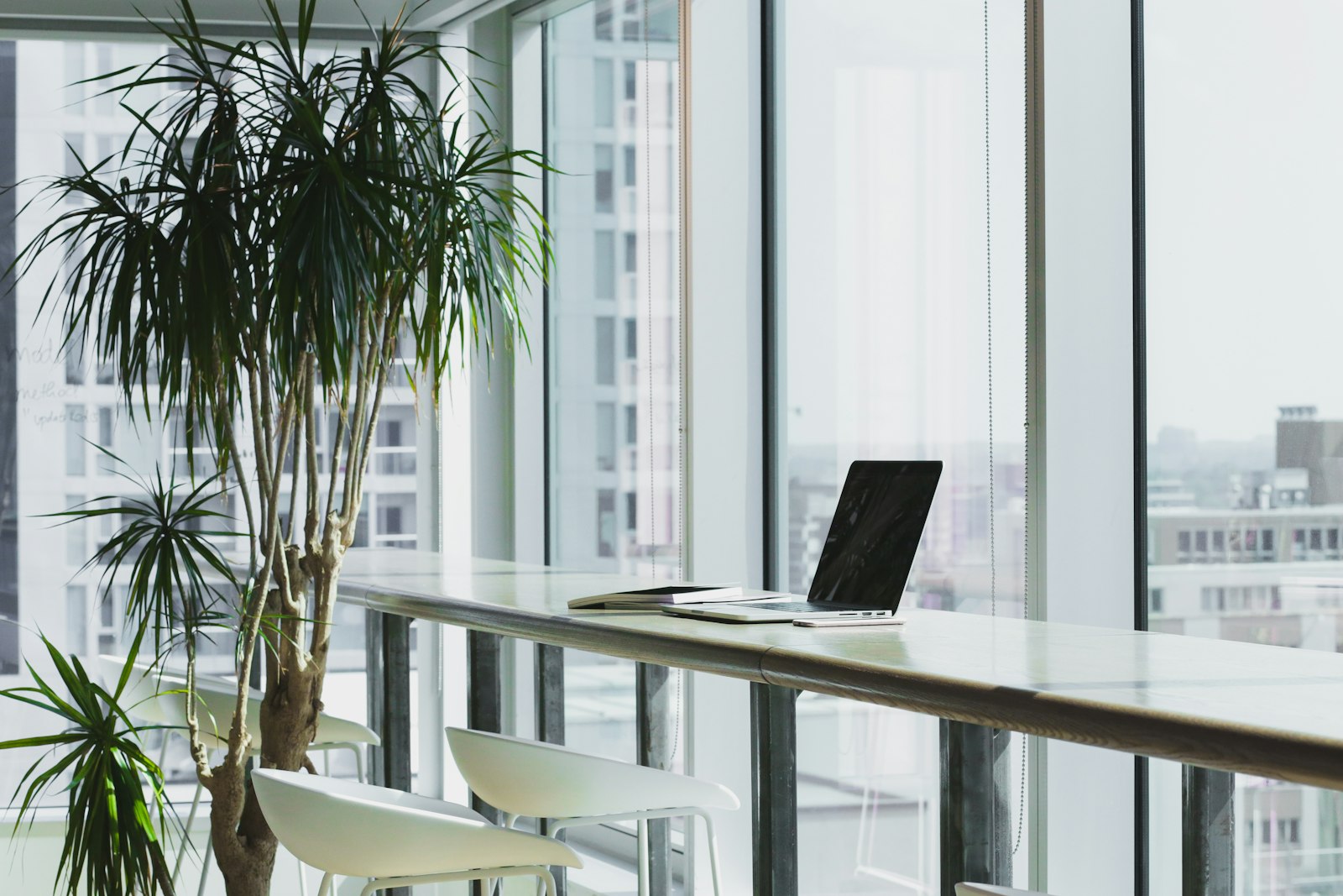 Organized creative workspace with reusable content and media